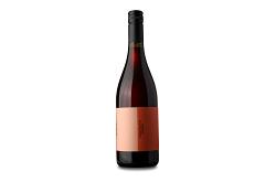 Kombucha Arensbak Red