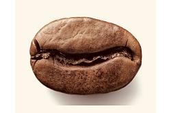 Chokolade Kaffe